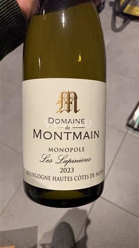 Bourgogne Hautes Côtes de Nuits Domaine Montmain Les Lapinières 2023