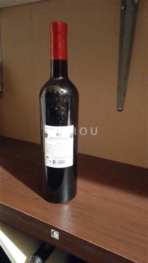 Languedoc Minervois Les Vignerons d´Argelier Les 87 2019