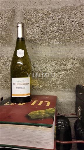 Bourgogne Petit-chablis Premier Cru Moillard Symphorien 2024