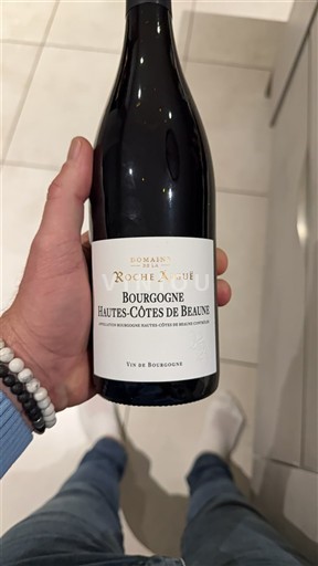 Borgogna Non specificato Domaine Roche Aigue 2023