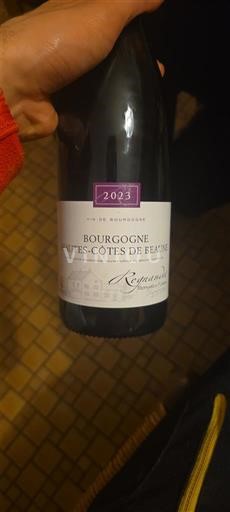 Burgundi Määrittelemätön Rijckaert 2023