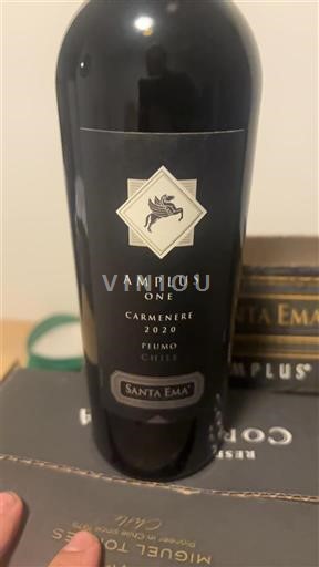 Dolina Maipo Ni doloceno Santa Ema Amplus One 2020