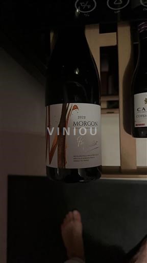 Beaujolais Morgon Domaine Père guillot 2022