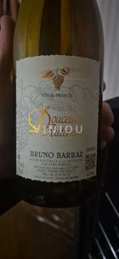 Zuidwest-Frankrijk Sudwest-Frankrijk Bruno Barraz Douceur d'Automne Niet-geïntegreerd