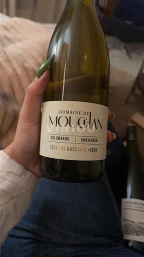 Zuidwest-Frankrijk Côtes de Gascogne Domaine Mougian Colombard Sauvignon 2024