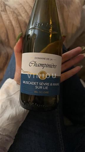 Údolí Loiry Nespecifikováno Domaine La Champinière 2021
