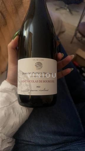 Loire-dalen Saint-Nicolas-De-Bourgueil Domaine Patrice Delaunay Le Gros Caillou 2022