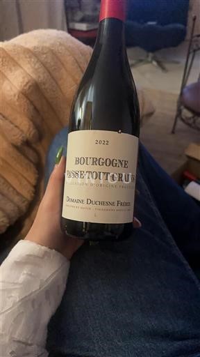Bourgogne Bourgogne-passetoutgrain Domaine Chesne Frères 2022