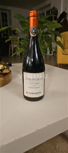 Vina Rouge sec Terre des Anges vielles vignes Cave de Cascastel 2024 Francija Languedoc in Roussillon Dolina paradiža IGP