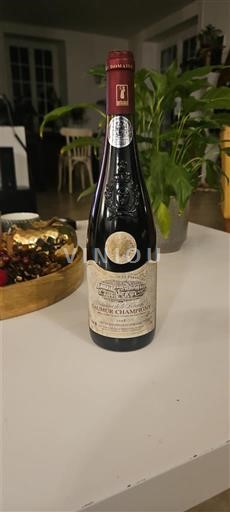 Loiren laakso Saumur-champigny Domaine La Perruche 2008