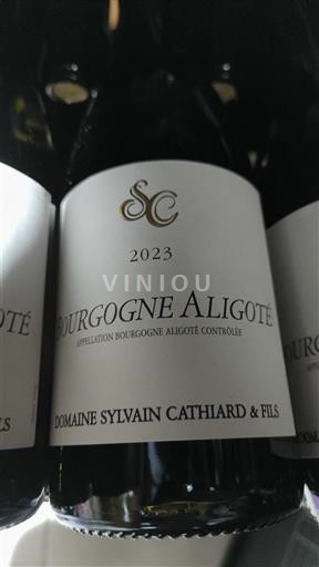 Burgundi Bourgogne Aligoté Domaine Sylvain Cathiard & Fils 2023