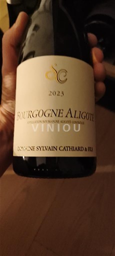 Burgundija Bourgogne Aligoté Domaine Sylvain Cathiard & Fils 2023