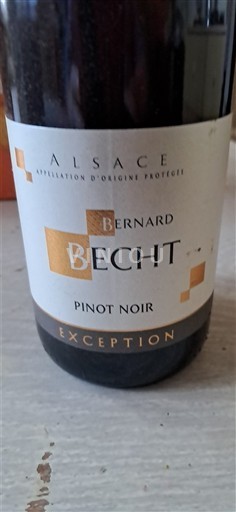 Elsass Château Bernard Becht Exception Ohne Jahrgang