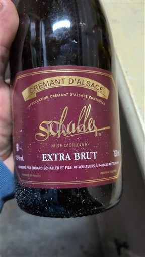 Alsace Alsace-kuohuviini Schaller Extra Brut Ei vuosikertaa