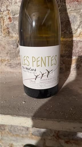 Údolí Loiry Saumur Domaine Clos du Cotard Les Pentes 2022