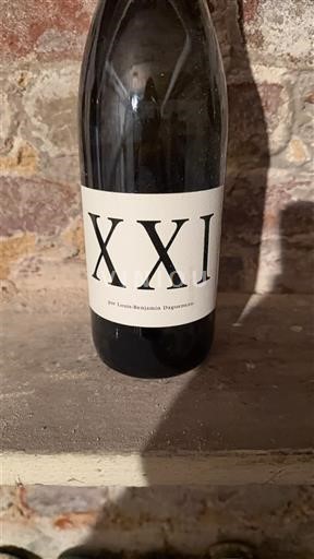 Vina Blanc sec XXI Louis Benjamin Dagueneau Non millésimé Francija Dolina Loare Pouilly-fumé AOC