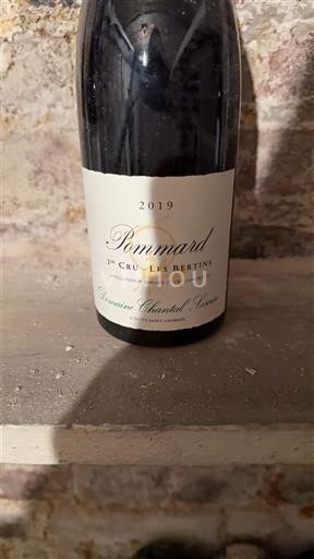 Burgundi Pommard Premier Cru Domaine Chantal Lescure 1er Cru Les Bertins 2019