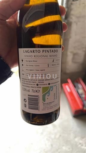 Minho Lagarto Pintado Sin añada