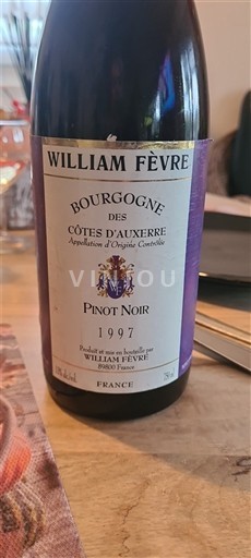 Bourgogne Bourgogne Côtes d'Auxerre William Fèvre Pinot Noir 1997