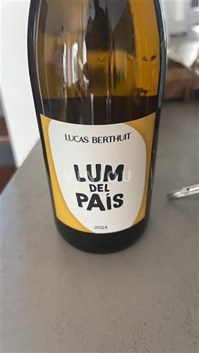 Zuidwest-Frankrijk Sudwest-Frankrijk Lucas Berthuit Lum del País 2024