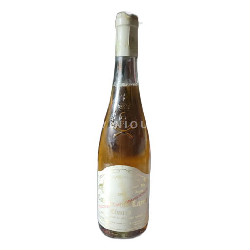 Údolí Loiry Coteaux-du-Layon Domaine Delaunay Sélection de Grains Nobles 1988