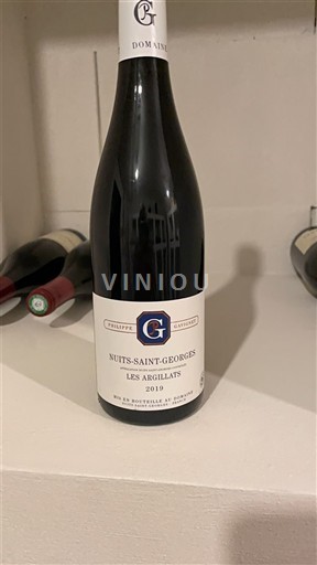 Bourgogne Nuits-saint-georges Domaine Philippe Gavignet Les Argillats 2019