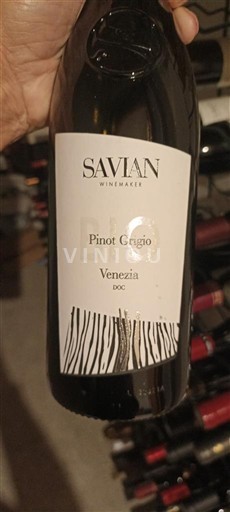 Vêneto Não especificado Savian Pinot Grigio 2020