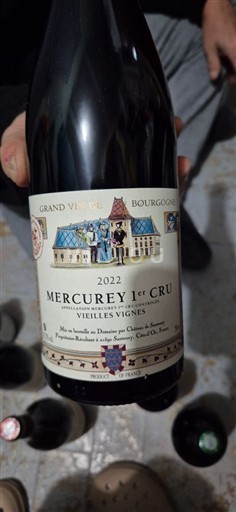 Bourgogne Ikke specificeret Premier Cru Domaine Château de Santenay Vieilles Vignes 2022
