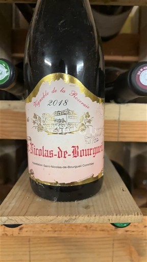 Loire-dalen Saint-Nicolas-De-Bourgueil Vignobles de la Rodaie 2018
