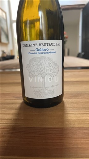 Valle del Loira Muscadet-sèvre-et-maine Domaine Bretaudeau Gabbro Clos des Bouquinardières 2023