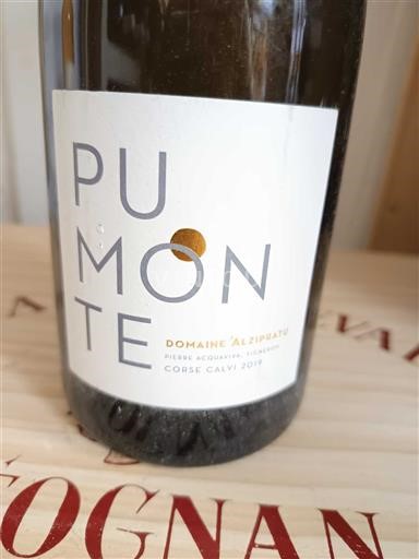 Corsica Niet gespecificeerd Domaine Alzipratu Pumonte 2019
