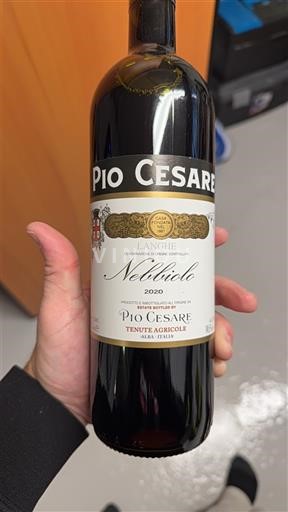 Piamonte Langhe Pio Cesare Nebbiolo 2020