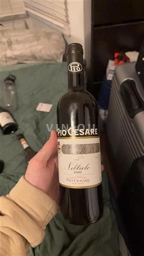 Piemonte Langhe Pio Cesare Nebbiolo 2020