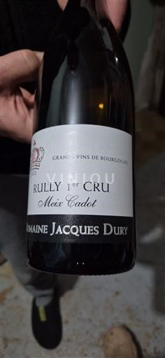Bourgogne Ikke specificeret Premier Cru Domaine Jacques Dury Meix Cadot 2021