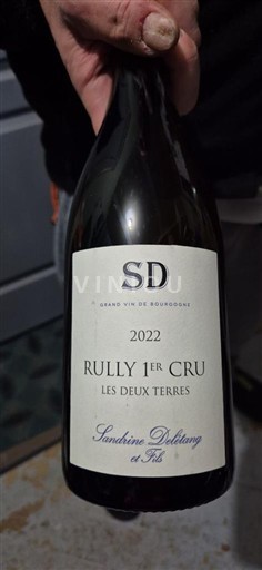 Bourgogne Ikke specificeret Premier Cru Sandrine Delézay et Fils Les Deux Terres 2022