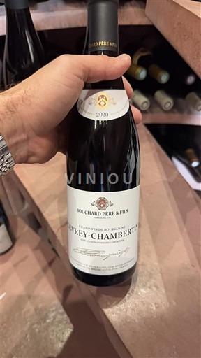 Burgundsko Gevrey-Chambertin Bouchard Père & Fils 2020