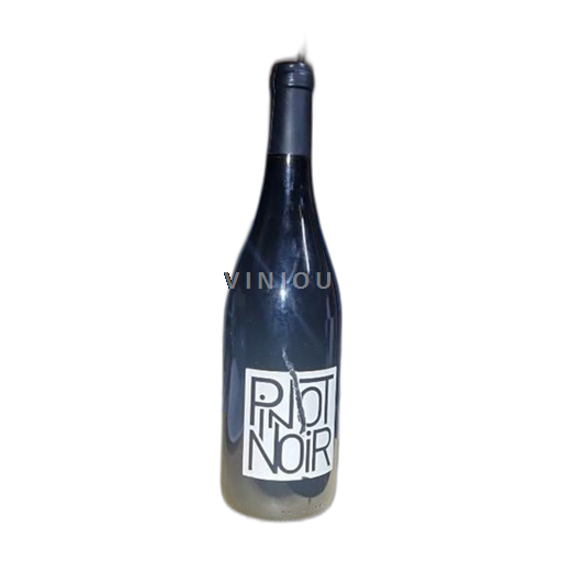 Languedoc in Roussillon Saint-Guilhem-le-Désert LCDP pour la SAS VD3C Pinot Noir 2019