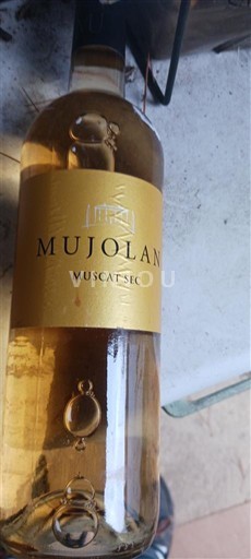 Languedoc og Roussillon Pays d'Oc Mujolan Muscat Sec 2019
