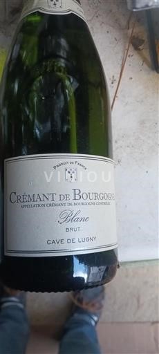 Burgund Crémant de Bourgogne Cave de Lugny Blanc Ohne Jahrgang