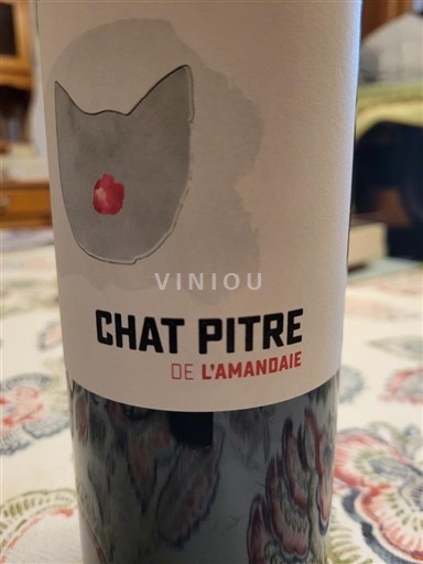 Wijnen Rouge sec Chat Pitre Domaine L'Amandaie 2023 Frankrijk Languedoc Grès de Montpellier AOC