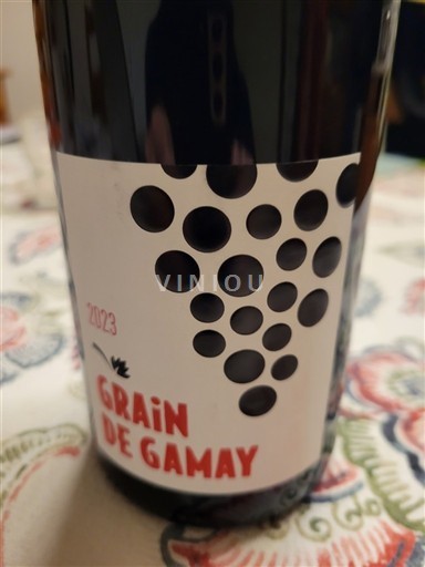 Dolina Loare Touraine Grain de Gamay 2023