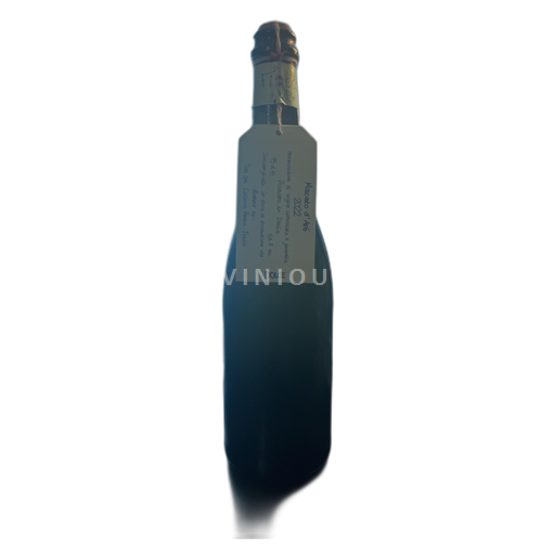 Piedmont Dolcetto d'Asti Fiocco di vite 2022