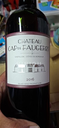 Bordeaux Castillon-côtes-de-bordeaux Château Cap de Faugères 2016