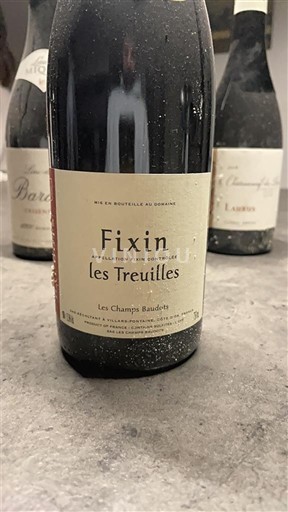 Bourgogne Fixin Les Champs Baudets Les Treuilles 2019