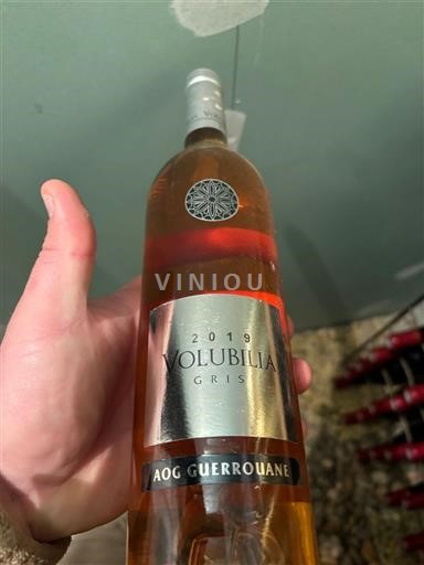 Meknès Không được chỉ định Volubilia Gris 2019