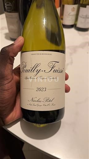 Burgundija Pouilly-fuissé Nicolas Potel 2023