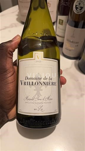 Loire-dalen Muscadet-Sèvre-et-Maine Domaine La Vrillonnière 2023