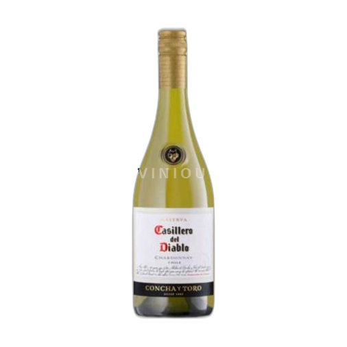 Aconcagua-dalen Ikke specificeret Casillero Del Diablo 2023