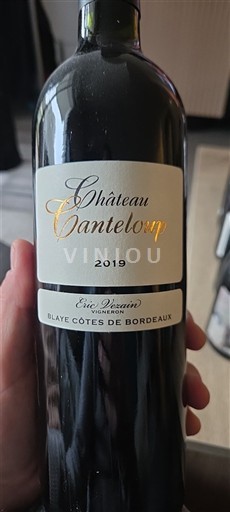 Bordeaux Blaye-côtes-de-bordeaux Château Canteloup 2019
