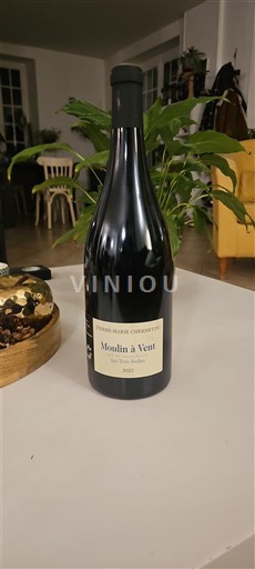 Beaujolais Moulin-à-vent Pierre-Marie Chermette 2022